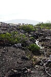 lavaLandscape9.jpg