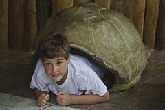 jonasInTortoise.jpg